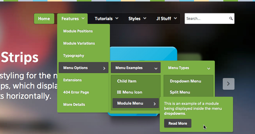 menu-options-hexeris-wordpress-demo